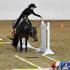 Arkansas QH Show